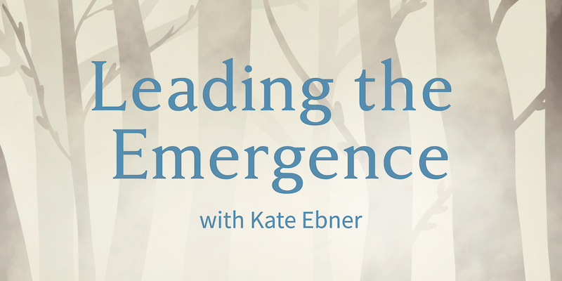 Leading the Emergence Podcast