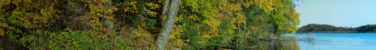 Nebo Academy Jump Page Header