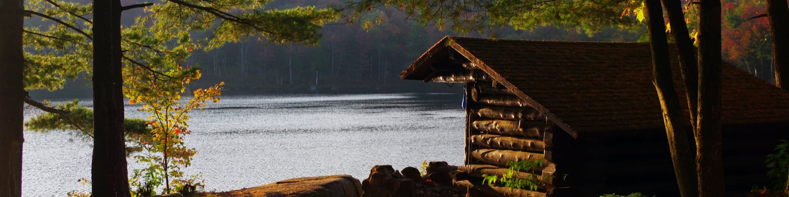 Log Cabin Banner