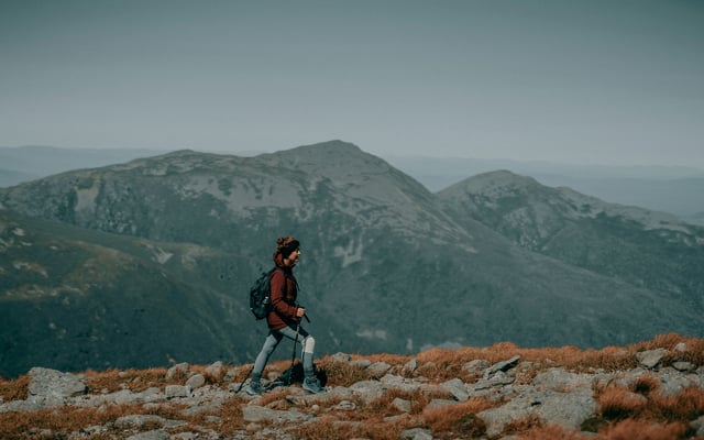 10 Leadership Insights from Mission-Driven COOs Navigating Change