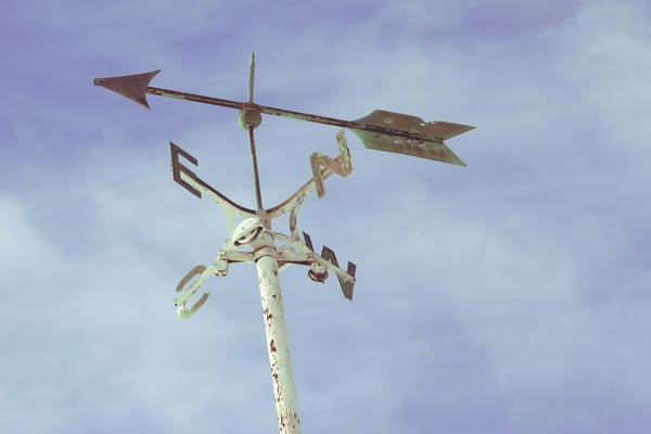 Leading Through Complexity: Navigating Organizational Trauma and Change Fatigue