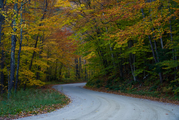 Driving Your Own Development: Leading in a Complex World
