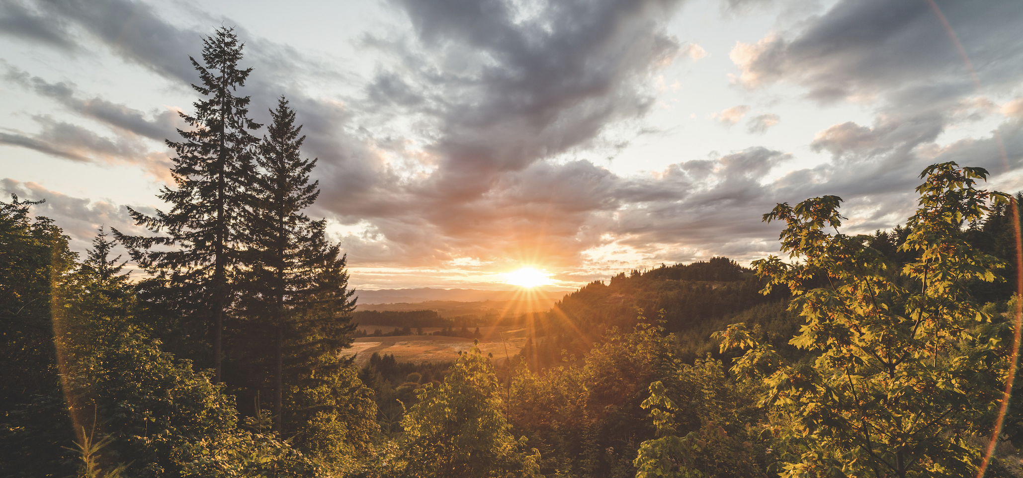 6 Emergent Demands Reshaping the COO Role Today