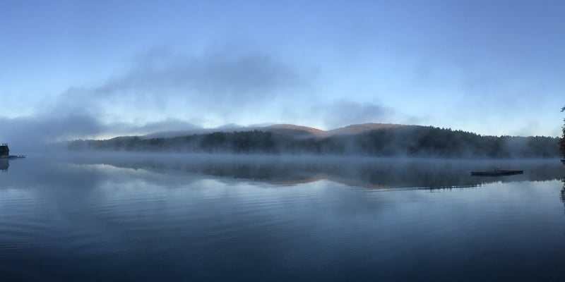 From Leaf to Lake