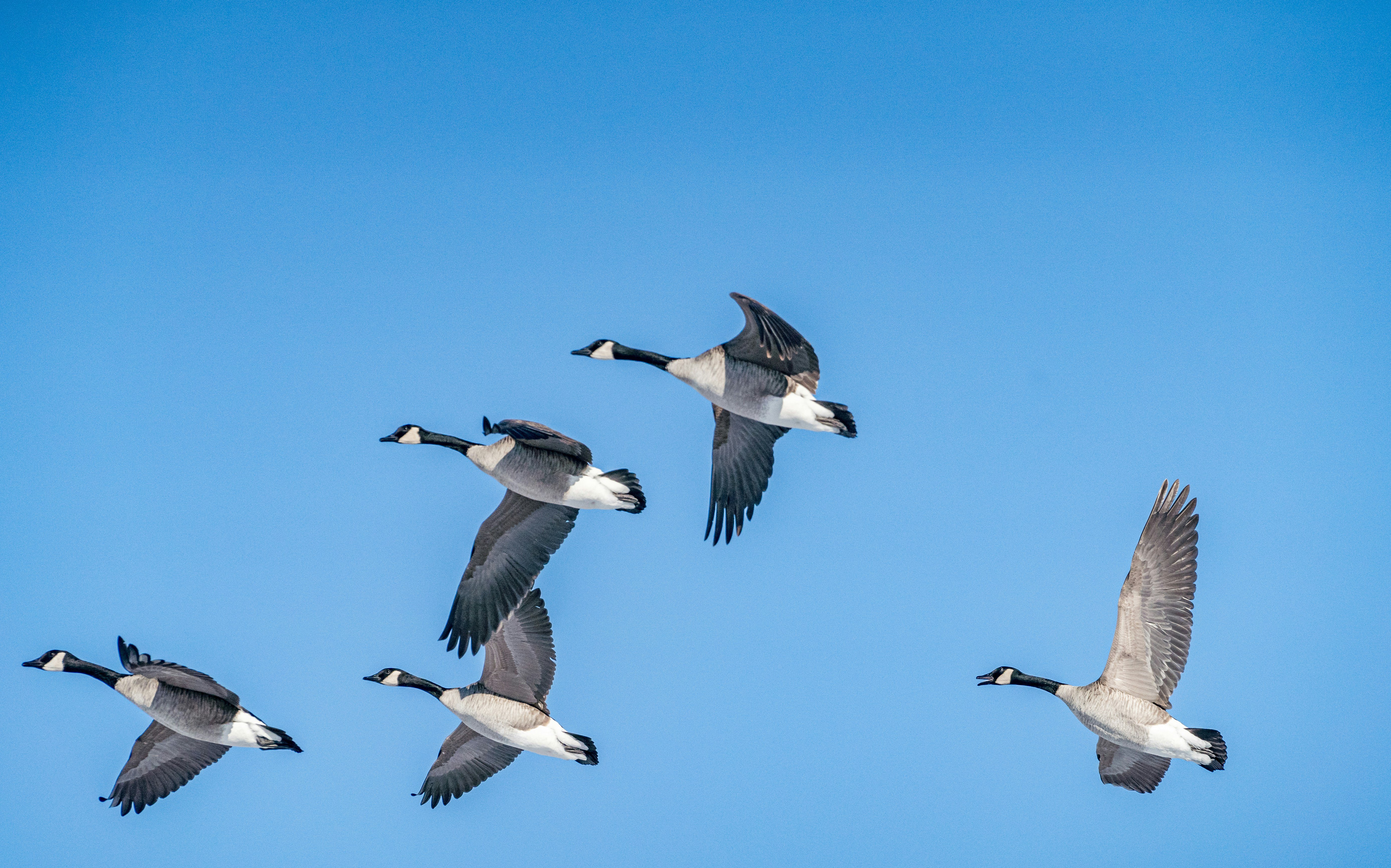 Coaching Circles: Building the Capacity to Navigate Change in Higher Education