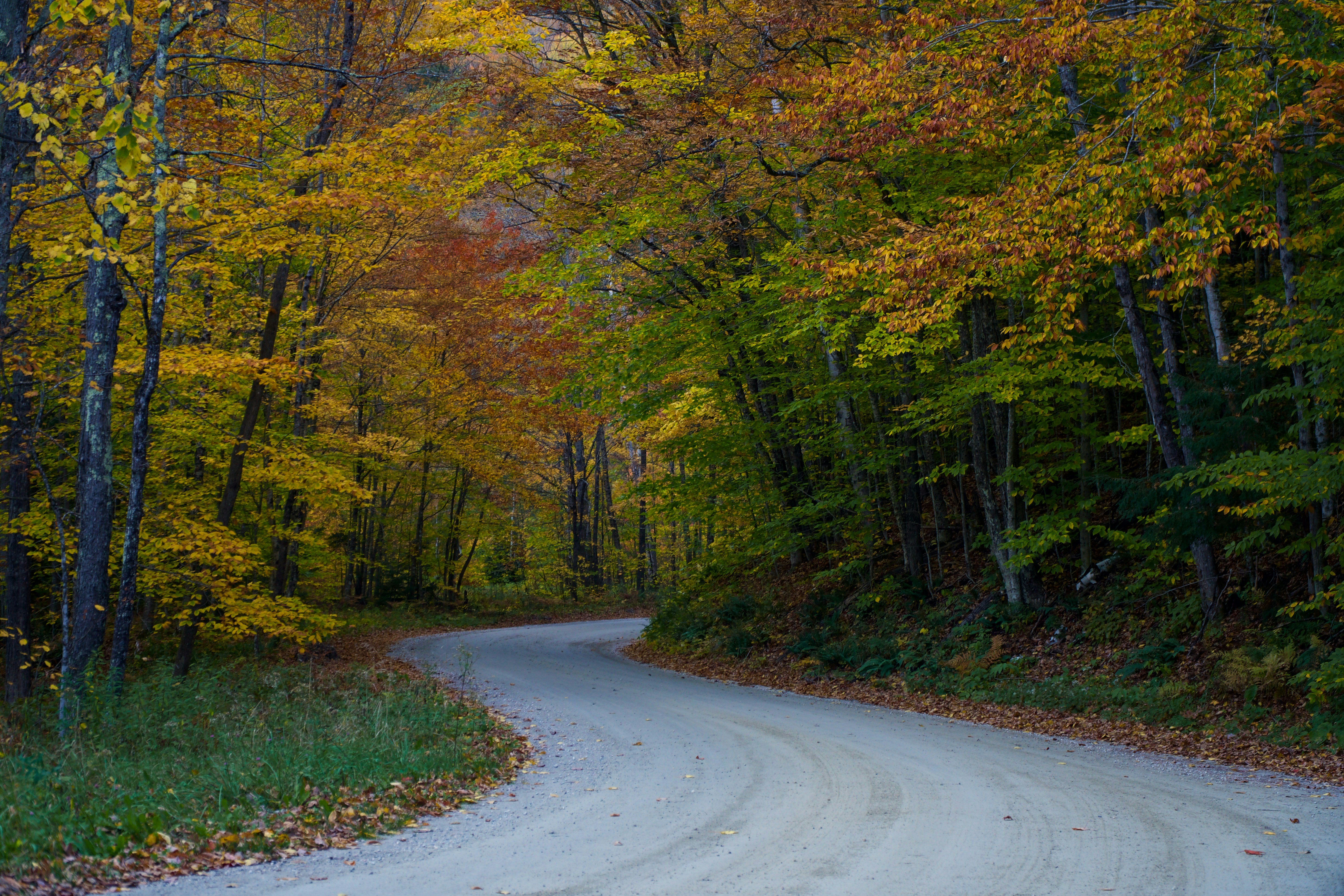 Driving Your Own Development: Leading in a Complex World